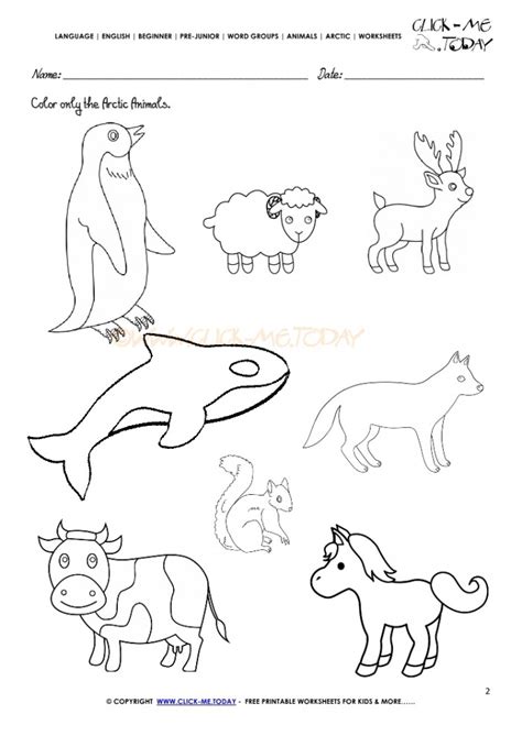 belongs   arctic worksheets worksheets