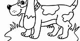 Basset Coloring sketch template