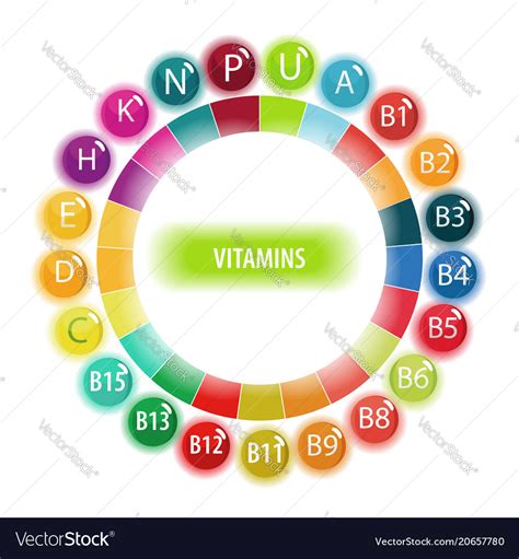 vitamins royalty  vector image vectorstock