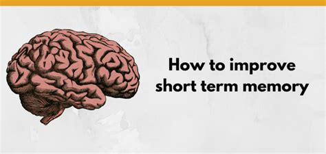 improve short term memory eatspeakthinkcom