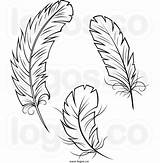 Feather Feathers Clipart Clip Swan Clipartlook Fether Drawing Outline Template 1024 64kb Clipground Designlooter Webstockreview sketch template