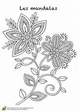 Hugo Mandalas Printemps Hugolescargot Des Escargot Dessiner Therapie Adulte épanouies Coloriages Enfant Visiter Depuis sketch template