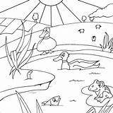 Pond Fish Coloring Pages Printable Colouring Frog Drawing Ducks Getdrawings Template sketch template