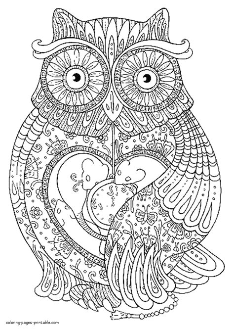 hard coloring pages owl bird coloring pages printablecom