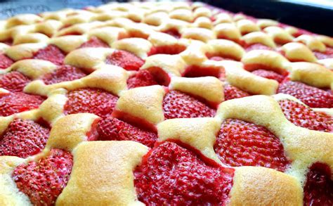 der beste erdbeer biskuitkuchen vom blech einfache rezepte