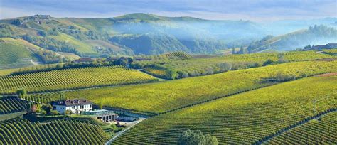 an italian wine tasting journey from piedmont to tuscany