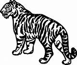 Coloring Tiger Waiting Wecoloringpage sketch template
