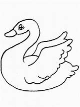 Schwan Animali Cigno Cisne Malvorlage Swans Acquatici Ausmalbild Cisnes 2309 sketch template