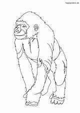 Affe Gorilla Ausmalbild sketch template