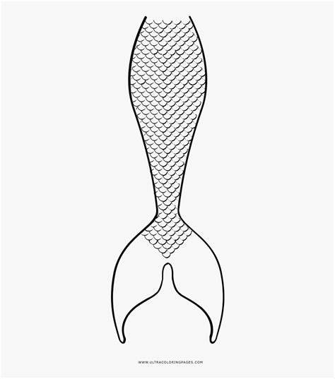 mermaid tail coloring page mermaid tail coloring pages hd png