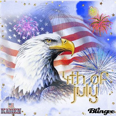 july eagle  fireworks picture  blingeecom