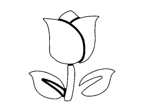 tulip coloring pages  toddlers printable tulip coloring pages