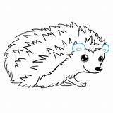 Hedgehog Easydrawingguides sketch template