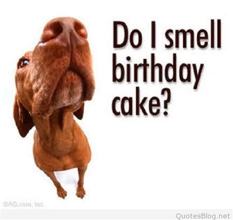funny birthday quotes images