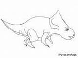 Coloring Protoceratops Dinosaur Pages Ws sketch template