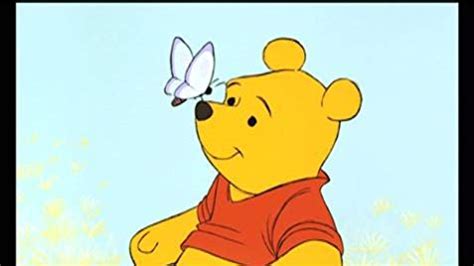 adventures  winnie  pooh