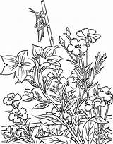 Pflanzen Blumen Jardim Heuschrecke Konik Polny Kolorowanki Malvorlage Malvorlagen Eden Encantado Coloringtop Dzieci Coloringhome Ausmalbild sketch template