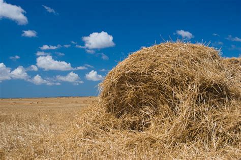 haystack stock photo  image  istock