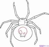 Spider Widow Tattoo Template Coloring Drawing Redback Templates Tattoos Draw Colouring Pages Shape Drawings Step Animals Bugs Designs Body Tattoomagz sketch template