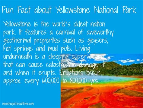 fun facts  yellowstone national park fun facts national parks yellowstone national park