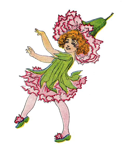 vintage flower fairy image pink carnation girl  graphics fairy