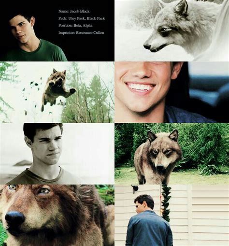 Pin By Ali Owens On The Twilight Saga With Images