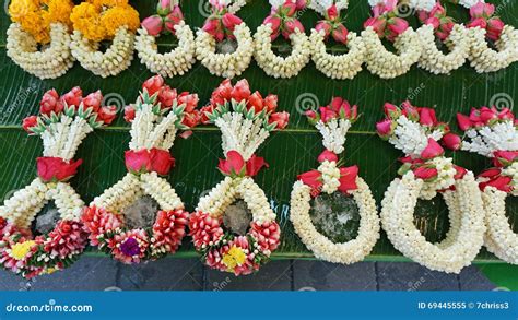 pak khlong talat flower market stock image image  floral