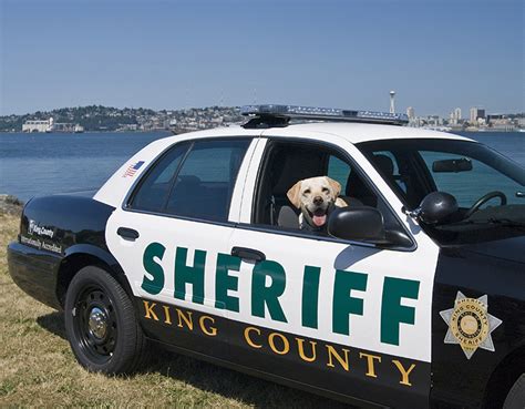 king county sheriffs office king county