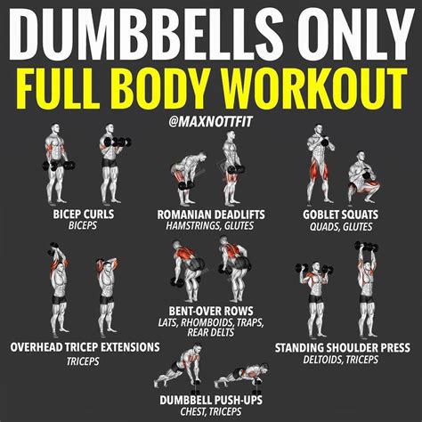 dumbbell workout plan arms  youve   home   pair  dumbbells fear