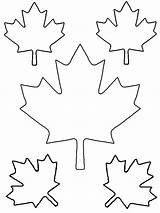 Leaf Maple Template Printable Pattern Large Leaves Outline Coloring Tattoo Clipart Canadian Templates Quilt Small Cut Drawing Patterns Clip Kids sketch template
