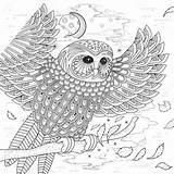 Coloring Owl Lovely Stock Vector Para Colorear Illustration Mandalas Depositphotos Pages Adult Kchungtw 3d Colouring sketch template