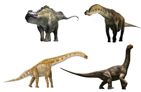 sauropoda dinopedia   dinosaur encyclopedia