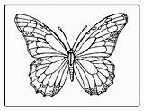Coloring Kids Pages Butterfly Popular sketch template