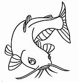 Catfish Coloring Pages Eyes Eye Drawing Beuatiful Sketch Color Animal Big Printable Bluegill Eyed Clipart Scary Getcolorings Kids Preschool Doctor sketch template