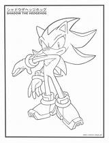 Shadow Coloring Hedgehog Pages sketch template
