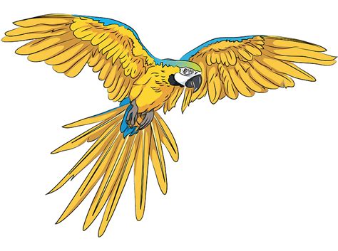 parrot clipart   transparent png creazilla