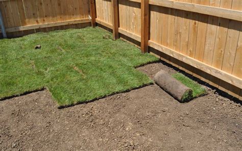 install sod grass     water sod grass pad