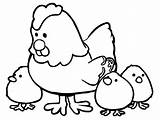 Hen Coloring Chicken Pages Mother Babies Printable Chick Cartoon Chicks Categories Coloringonly sketch template