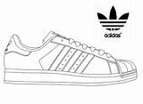 Coloring Superstar Zapatillas Tenis Schuhe Chaussure Ausmalen Coloringpagesfortoddlers Calzado Cleats Clipground Sketch sketch template