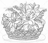 Basket Flower Drawing Flowers Pencil Drawings Baskets Coloring Pages Shading Vector Lily Embroidery Color Contours Clipart Bouquet Colouring Adults Leaves sketch template