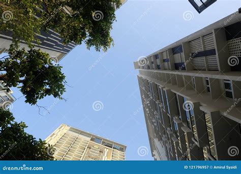 green residential suburb area house  reflections view   stock image image