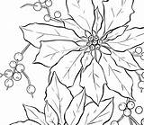 Poinsettia Christmas Line Coloring Drawing Flower Pages Drawings Clip Printable Clipart Graphicsfairy Thumb Fairy Graphics Thegraphicsfairy Color Flowers Pattern Vintage sketch template
