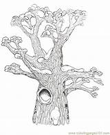 Hollow Tree Clipart Coloring Pages Clip Evil Top Cliparts Template Library Trees Clipground sketch template