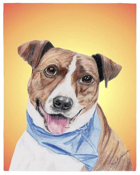 Spunky Former Shelter Sweetie Mixed Media By Dave Anderson Pixels