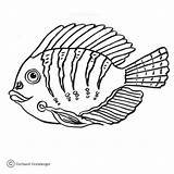 Coloring Tang Tangs Pages Yellow Cartoon Fishie Drawing Getdrawings Zum Ausmalen Supercoloring Printable Fisch Gif sketch template