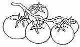 Coloring Pages Tomato Vegetables Part Preschool sketch template