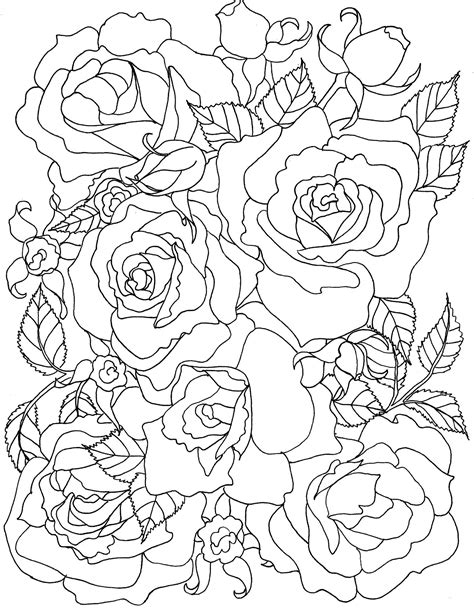 printable rose coloring pages  adults hannah thomas coloring pages