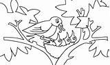 Pajaritos Pajaros Pintar Burung Mewarnai Aves Filhote Passarinho Sheets Aktifitas Everfreecoloring Dxf Colorironline Coloringbay Wecoloringpage sketch template