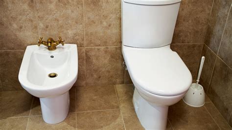 learn  lingo bidets floating vanities   bathroom mysteries