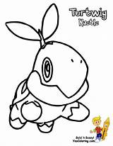 Turtwig Colorir Pokémon Empoleon Bubakids Various Cosmog Tudodesenhos Thousands Bellow sketch template